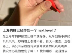 上海市民崩溃:今年的蝉为啥这么多 完全解决蝉鸣难度大，这是自然现象！