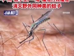 全球最大蚊子工厂在巴西建成 为防止蚊媒疾病，消灭野外同种类蚊子