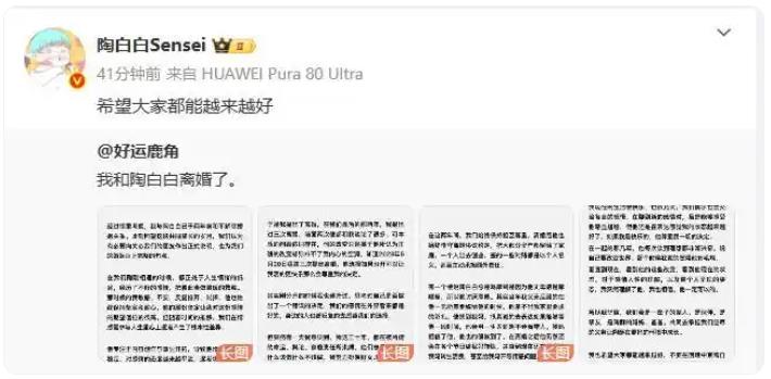 陶白白官宣离婚