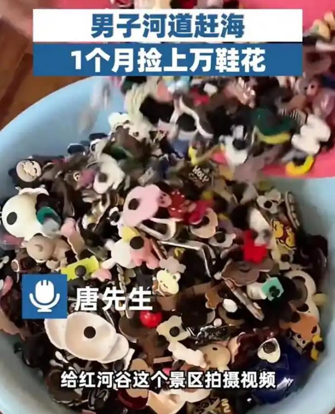 男子河道赶海1个月捡上万鞋花