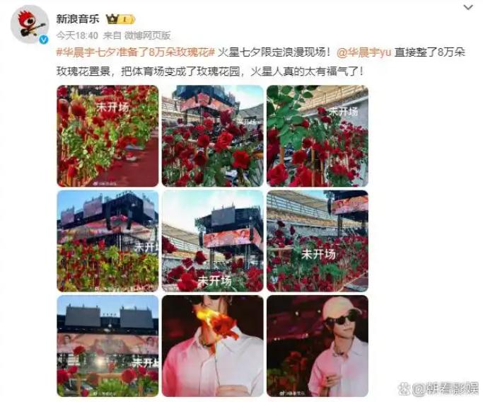 华晨宇七夕准备了8万朵玫瑰花