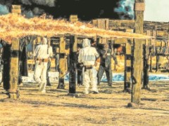 高排片高上座率见证历史的厚重 电影《731》9月18日全球上映（图）