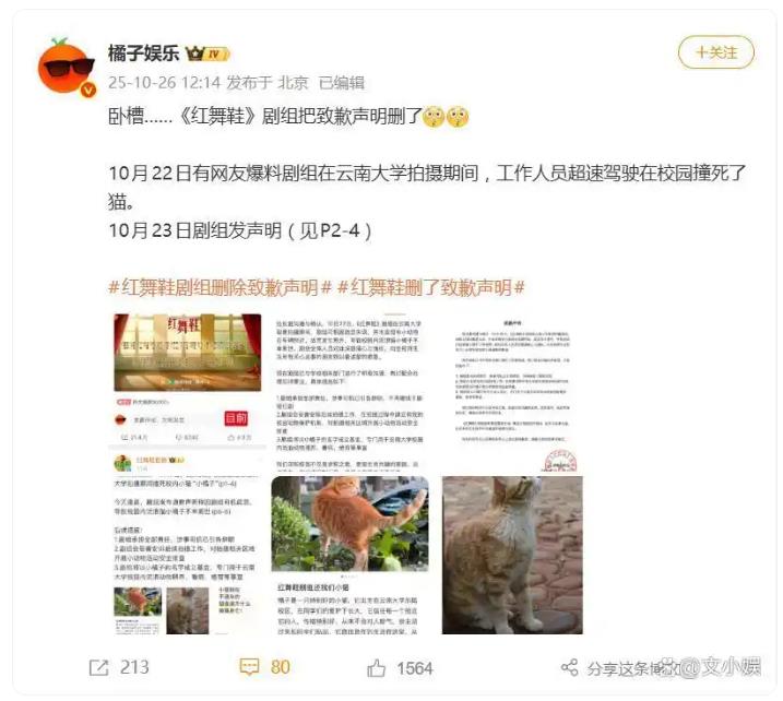 红舞鞋剧组被曝删除致歉声明