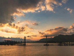 辛芷蕾威尼斯影后新作票房遇冷 引起网友热议！