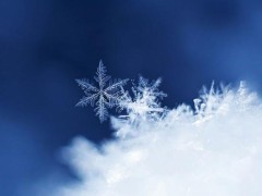 同一天 南北温差超过了60℃  海南三沙的永暑站气温达到30℃!(图）