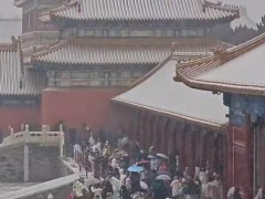 人人人人故宫雪人人人人 现场画面曝光!