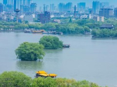 家长谈中小学生春假：孩子放假我不放 陪假难成困境