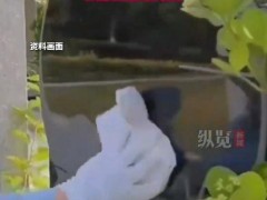 女子名字被刻前婆婆墓碑20余年 墓碑上的“身份枷锁”，法院判决大快人心！！（图）