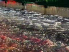 贵阳冰雹为啥形成“冰流成河” 引起网友热议！