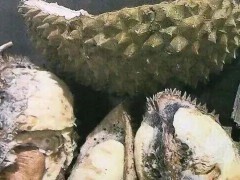 网民恶意索赔致当地网购受影响 AI诈骗频发